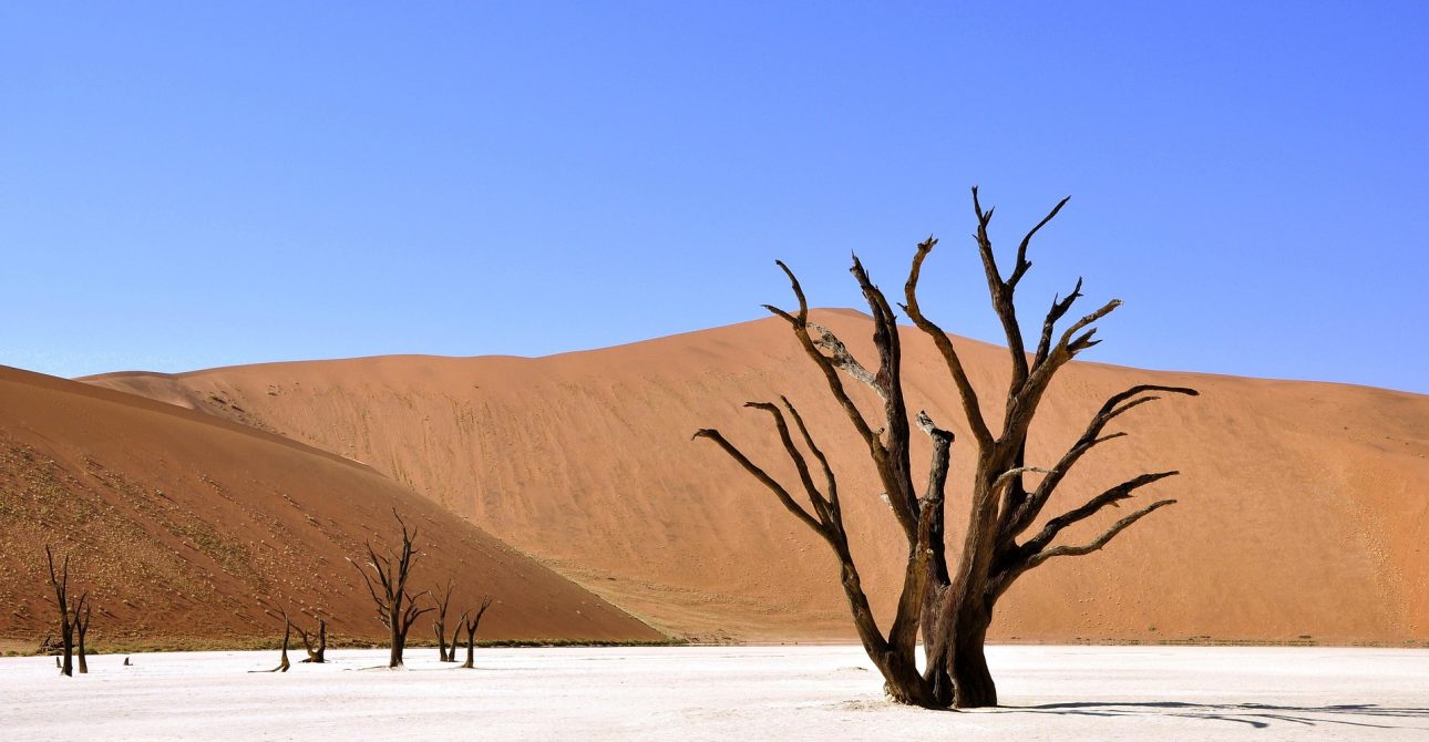 A Traveller’s guide to Namibia